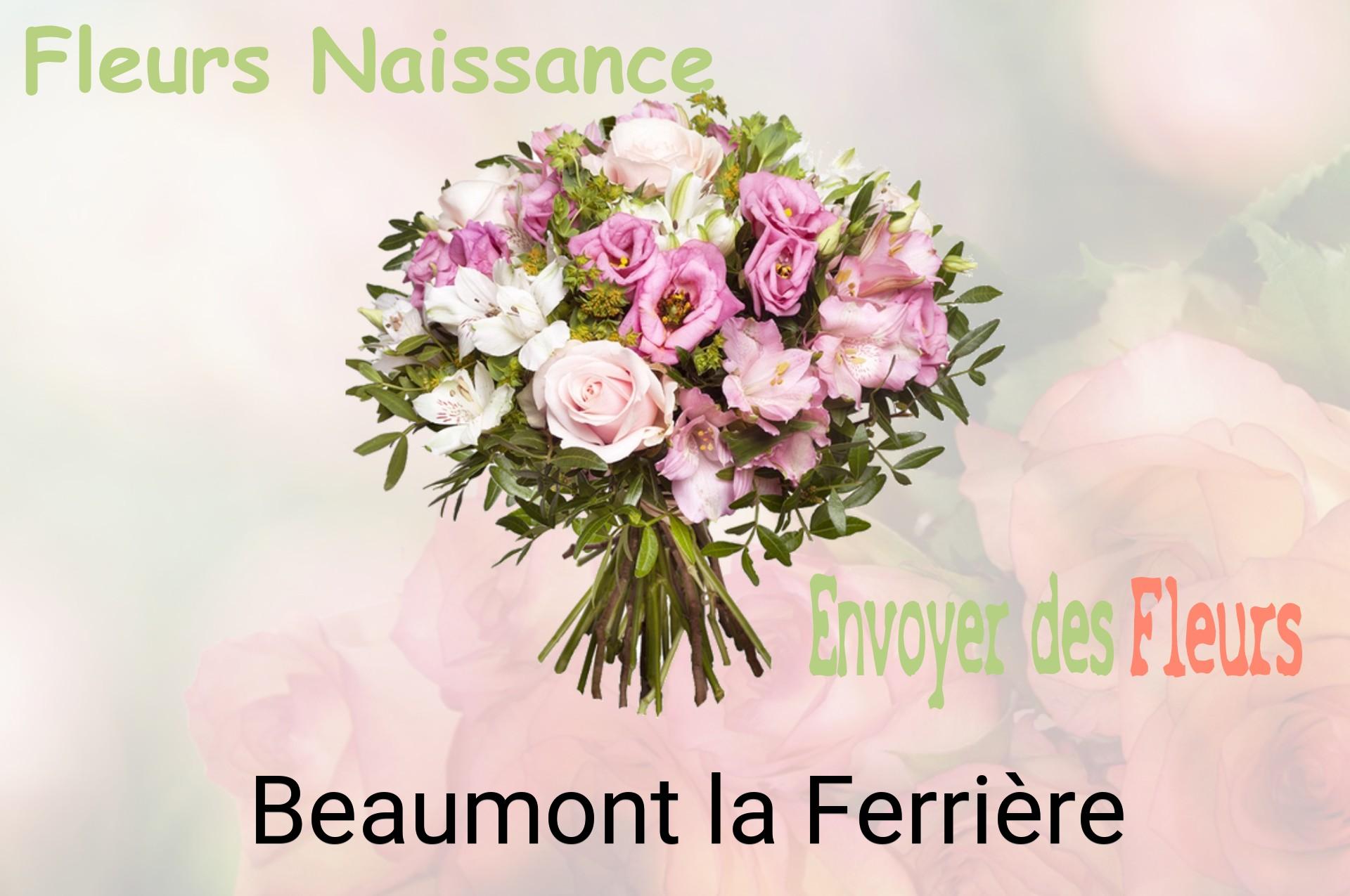 Bouquet de fleurs de naissance livré à Beaumont-la-Ferrière
